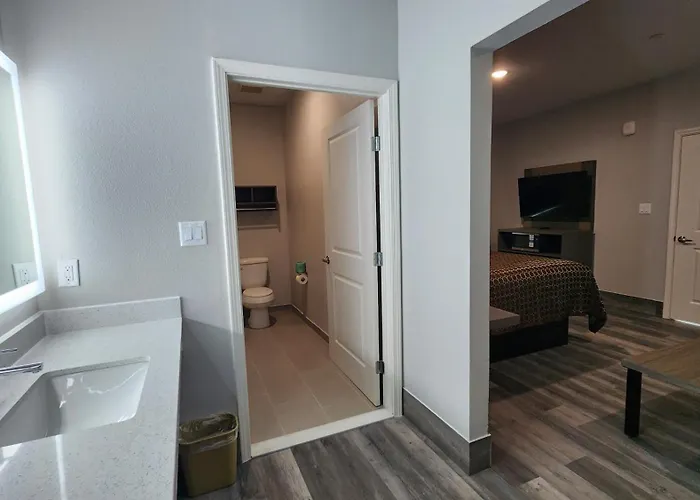 Deluxe One-Bedroom Apartment