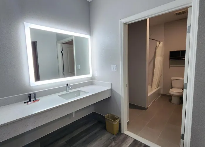 Deluxe One-Bedroom Apartment